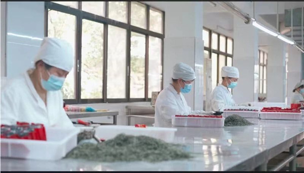 我市一企業(yè)連續(xù)23年獲評農業(yè)產業(yè)化國家重點龍頭企業(yè) 將投資14億元打造綠色循環(huán)現(xiàn)代化農業(yè)產業(yè)園