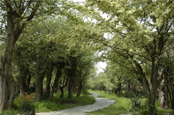 我市一企業(yè)連續(xù)23年獲評農業(yè)產業(yè)化國家重點龍頭企業(yè) 將投資14億元打造綠色循環(huán)現(xiàn)代化農業(yè)產業(yè)園