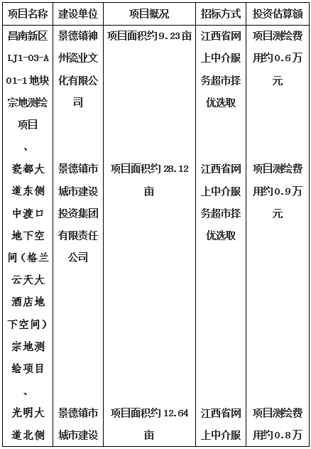 景德鎮(zhèn)市昌南新區(qū)LJ1-03-A01-1地塊、瓷都大道東側中渡口地下空間（格蘭云天大酒店地下空間）、光明大道北側利民路西側地下空間（青少年宮地下空間）、規(guī)劃二路北側地下空間地塊二（加速基地地下空間）、規(guī)劃二路北側地下空間地塊一（加速基地地下空間）、景德大道南側天寶橋西側地塊、景興大道東側如意路北側地下空間(社會公共服務