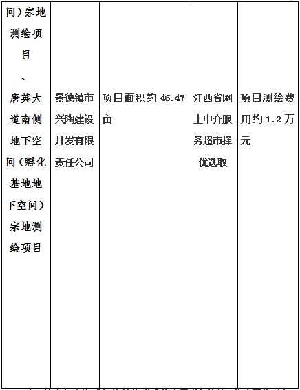 景德鎮(zhèn)市昌南新區(qū)LJ1-03-A01-1地塊、瓷都大道東側中渡口地下空間（格蘭云天大酒店地下空間）、光明大道北側利民路西側地下空間（青少年宮地下空間）、規(guī)劃二路北側地下空間地塊二（加速基地地下空間）、規(guī)劃二路北側地下空間地塊一（加速基地地下空間）、景德大道南側天寶橋西側地塊、景興大道東側如意路北側地下空間(社會公共服務