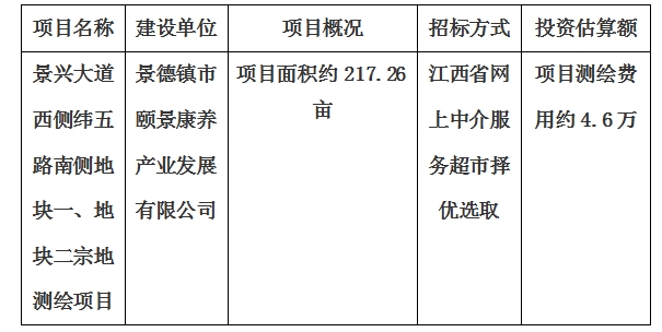 景興大道西側(cè)緯五路南側(cè)地塊一、地塊二宗地