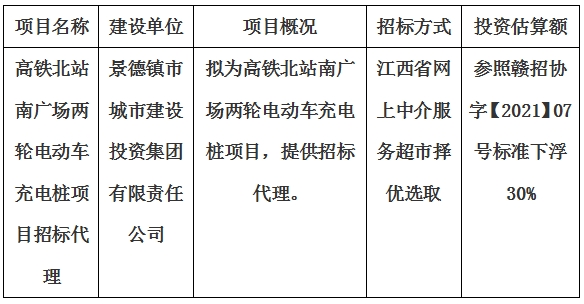 高鐵北站南廣場兩輪電動(dòng)車充電樁項(xiàng)目招標(biāo)代理計(jì)劃公告