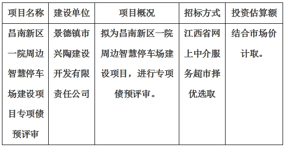 昌南新區(qū)一院周邊智慧停車場(chǎng)建設(shè)項(xiàng)目專項(xiàng)債預(yù)評(píng)審計(jì)劃公告