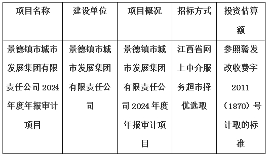 景德鎮(zhèn)市城市發(fā)展集團(tuán)有限責(zé)任公司2024年度年報(bào)審計(jì)項(xiàng)目計(jì)劃公告