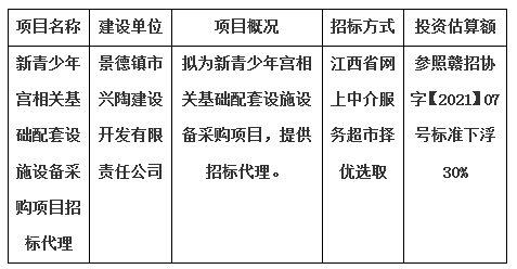 新青少年宮相關(guān)基礎(chǔ)配套設施設備采購項目招標代理計劃公告