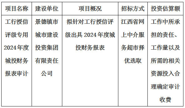 工行授信評(píng)級(jí)專用2024年度城投財(cái)務(wù)報(bào)表審計(jì)報(bào)告出具單位選取計(jì)劃公告